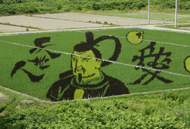 田んぼアート