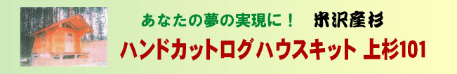 破格ログハウスキット